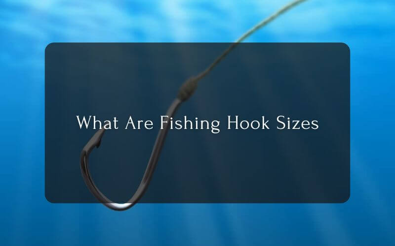 What Are Fishing Hook Sizes