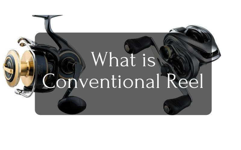 What is Conventional Reel