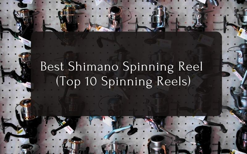 Best shimano spinning reel
