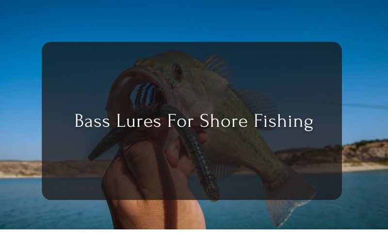 Bass Lures For Shore Fishing