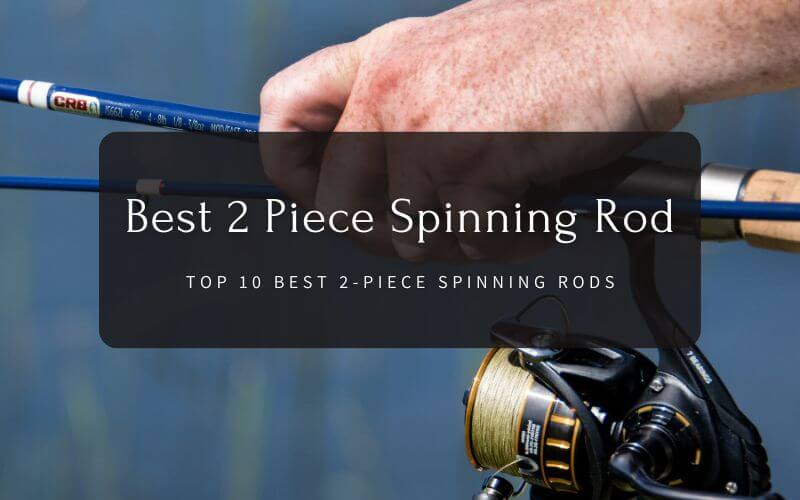 Best 2 Piece Spinning Rod