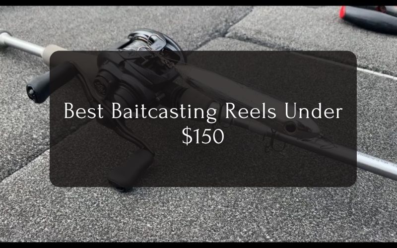 Best Baitcasting Reels Under $150