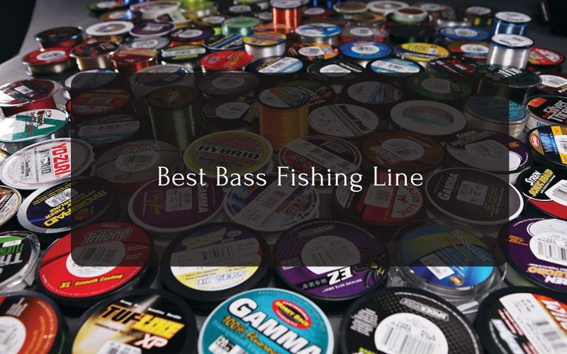 Best Bass Fishing Line
