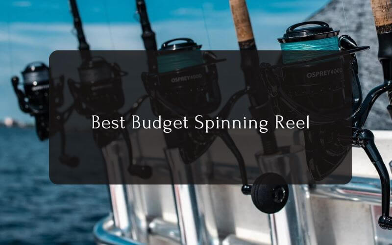 Best Budget Spinning Reel Top 10 Best Spinning Reels
