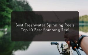 Best-Freshwater-Spinning-Reels