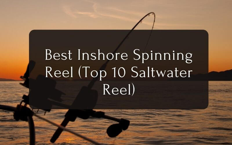 Best Inshore Spinning Reel (Top 10 Saltwater Fishing Inshore Spinning Reels)