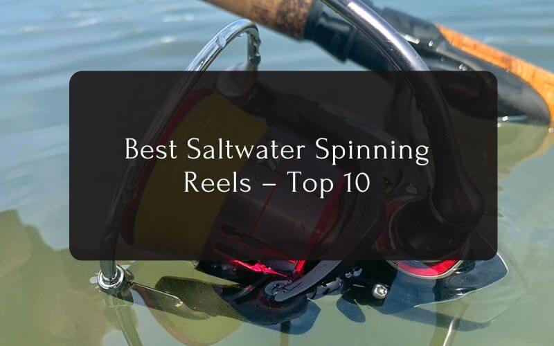 Best Saltwater Spinning Reels Top 10 Inshore Fishing Reels