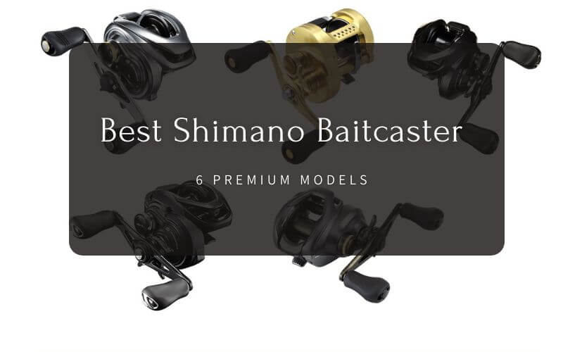 Best Shimano Baitcasting Reel Top 7 Shimano Baitcasting Reels