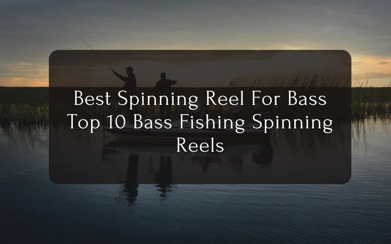 Best Spinning Reel For Bass - Top 10 Bass Fishing Spinning Reels