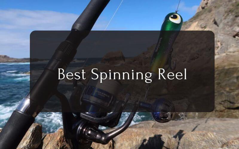 Best Spinning Reel