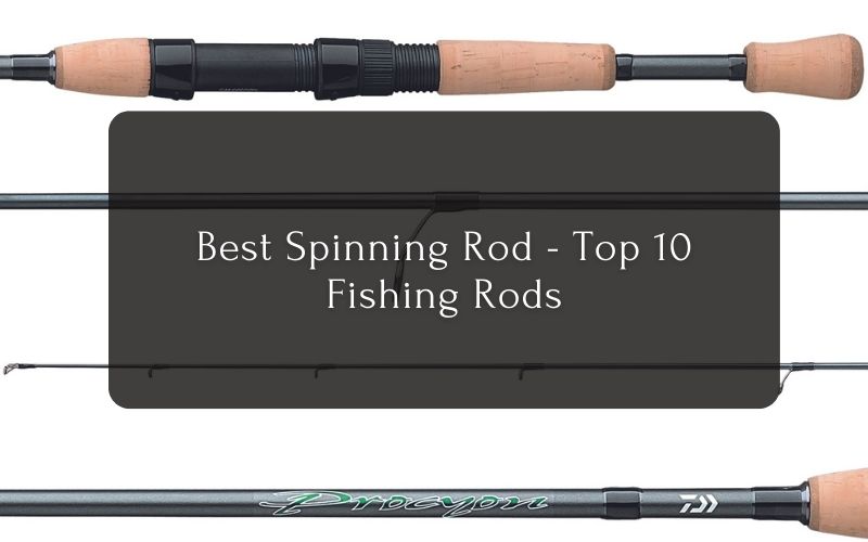 Best Spinning Rod