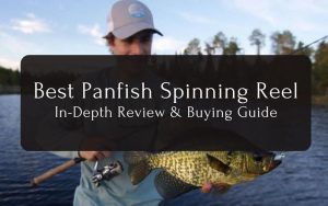 Best Panfish Spinning Reel