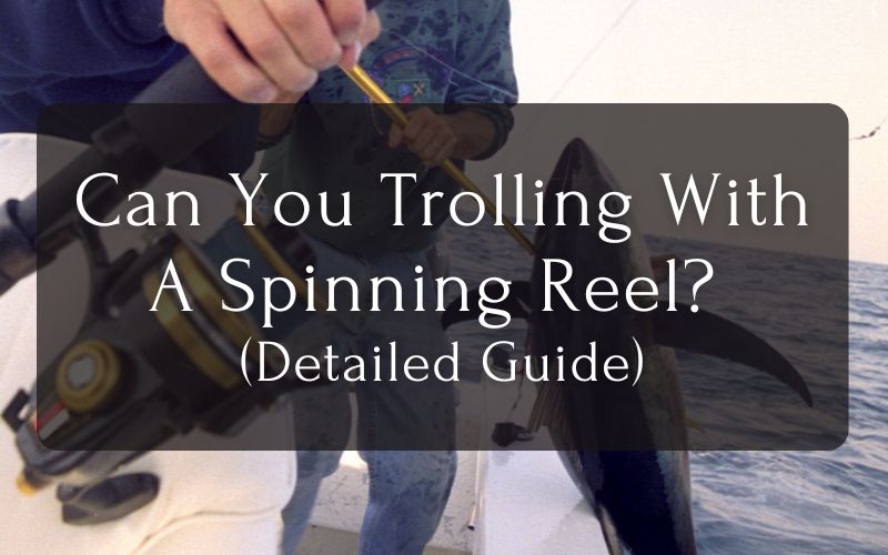 Troll With A Spinning Reel