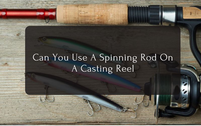Can You Use A Spinning Rod On A Casting Reel