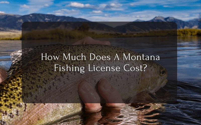 How Much Does A Montana Fishing License Cost