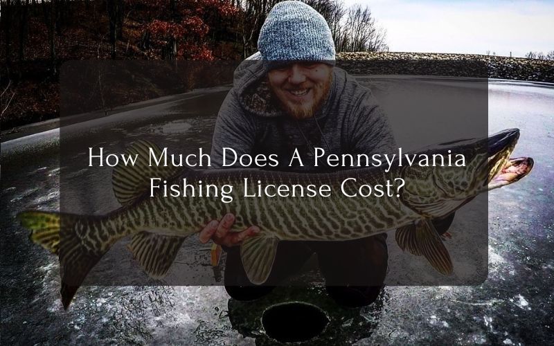How Much Does A Pennsylvania Fishing License Cost