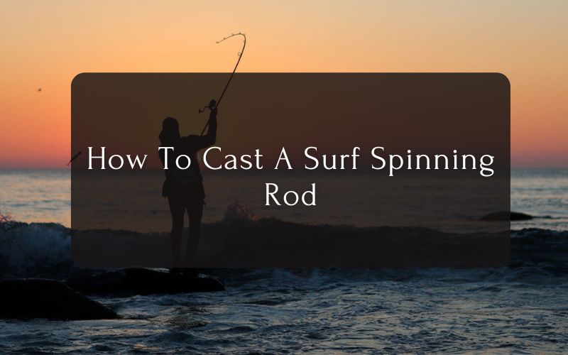 How To Cast A Surf Spinning Rod