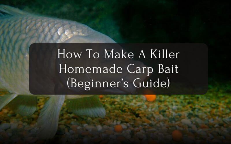 A Killer Homemade Carp Bait