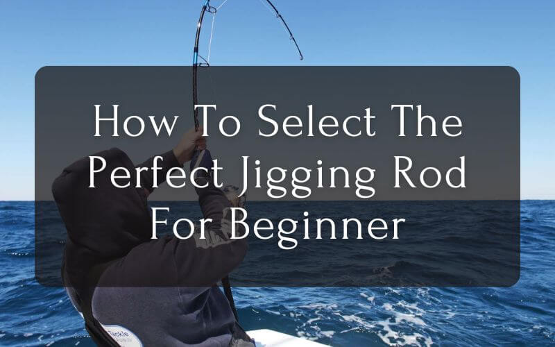 How To Select The Perfect Jigging Rod For Beginners