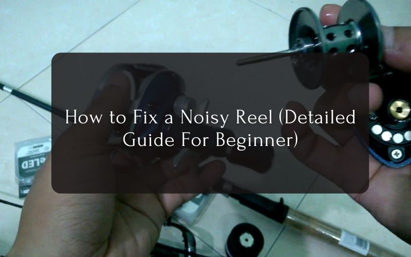 How to Fix a Noisy Reel