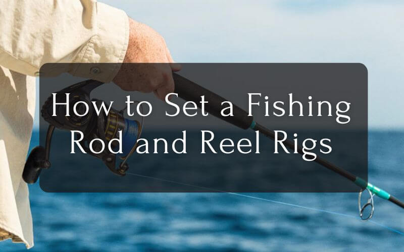 How to set a fishing rod and reel rig