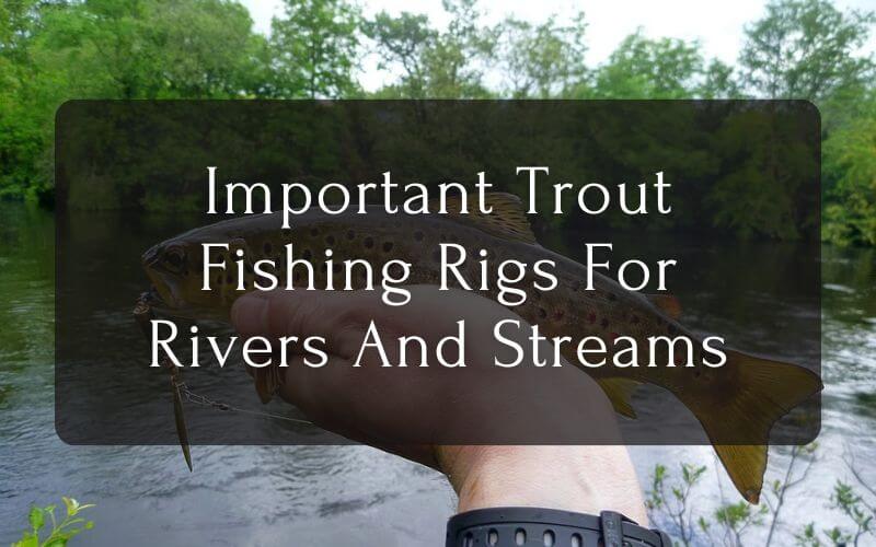 Important Trout Fishing Rigs For Rivers And Streams