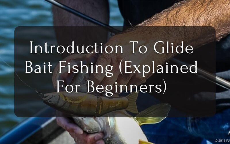 Glide Bait Fishing For Beginners