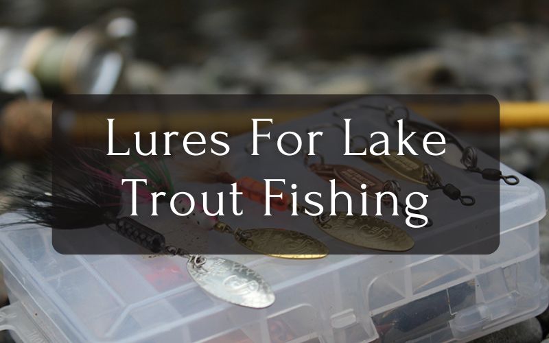Lures For Lake Trout Fishing