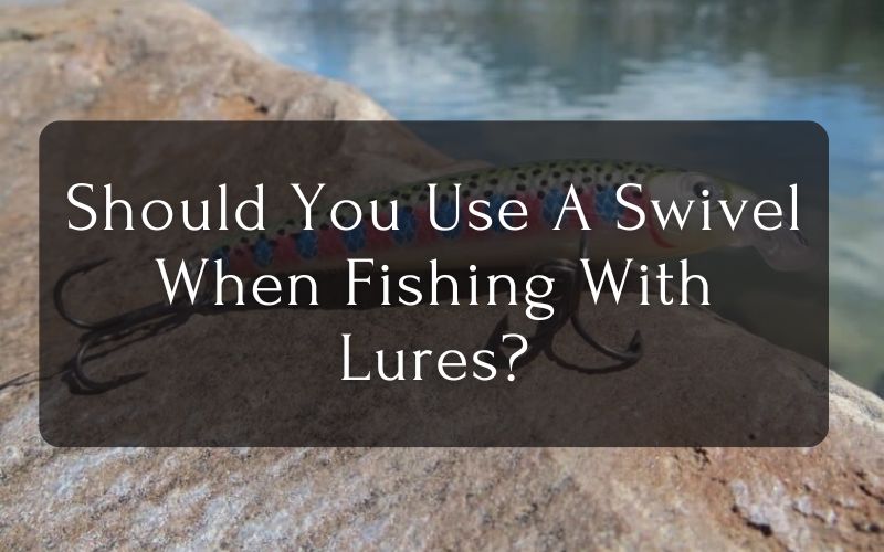 Should You Use A Swivel When Fishing With Lures?