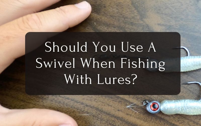 Should You Use A Swivel When Fishing With Lures
