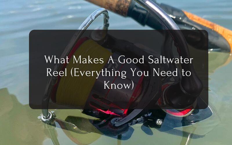 What Makes A Good Saltwater Spinning Reel