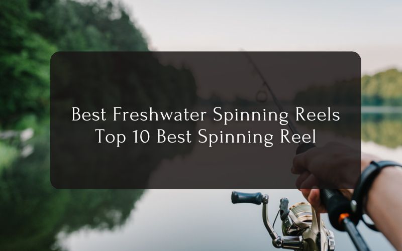 Best Freshwater Spinning Reels