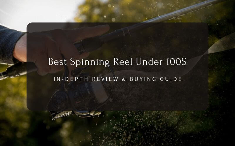 Best Spinning Reel Under $100 Top 9 Spinning Reels For Fishing