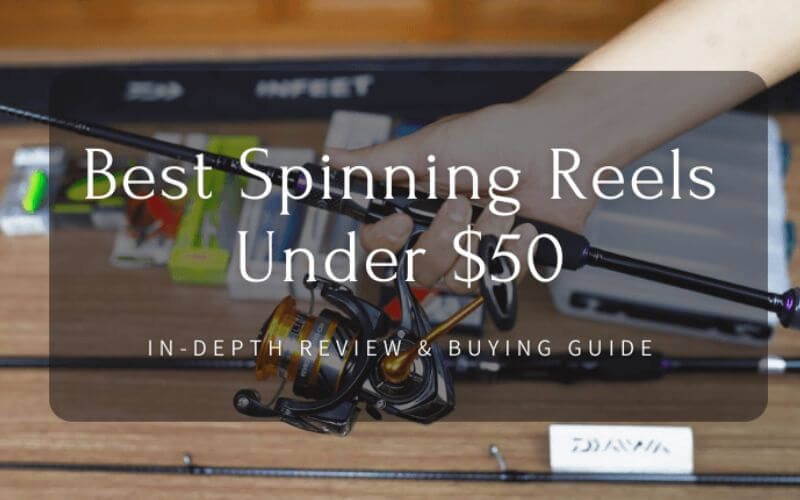Best Spinning Reels Under $50 Top 7 Fishing Spinning Reel