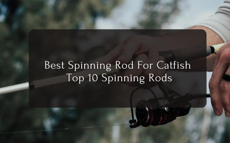 Best Spinning Rod For Catfish Top 10 Spinning Catfish Rods