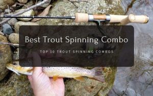 Best Trout Spinning Combo Top 06