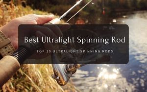 Best Ultralight Spinning Rod Top 10
