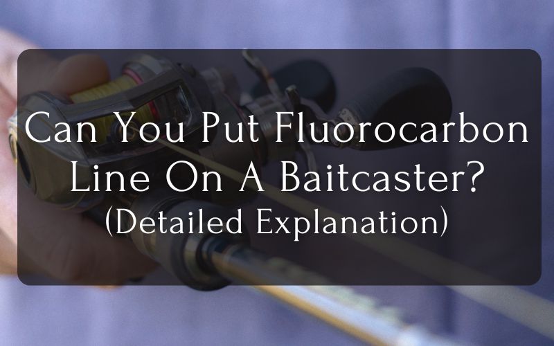 Can You Put Fluorocarbon Line On A Baitcaster Detailed Explanation